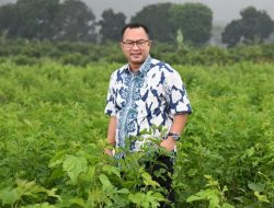 Rektor IPB :  Sektor Biodiversitas Perlu Jadi Prioritas Pembangunan Ekonomi Nasional