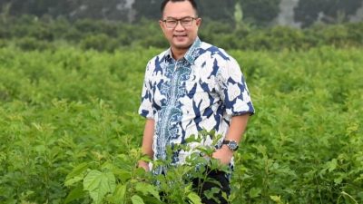 Sektor Biodiversitas Perlu Jadi Prioritas Pembangunan Ekonomi Nasional