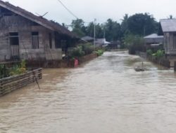 Banjir di Kepulauan Mentawai Surut, Warga Kembali Ke Rumah