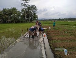 Pemuda dan Warga Purworejo Gotong Royong Perbaiki Jalan Pertanian