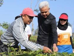 Lari Pagi di Cianjur, Ganjar Bertemu Para Petani Teh