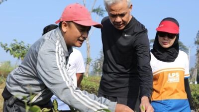 Lari Pagi di Cianjur, Ganjar Bertemu Para Petani Teh