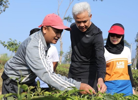 Lari Pagi di Cianjur, Ganjar Bertemu Para Petani Teh