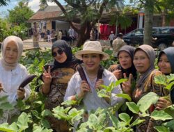 Inovasi dan Teknologi dalam Mewujudkan Kedaulatan Pangan